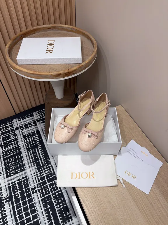 Dior Shoe 